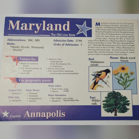 A Beka 9"x12" Nifty Fifty 100 State/Capital Flashcards - Picture 8 of 9